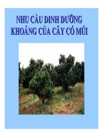 Báo cáo nghiên cứu nông nghiệp 