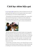 Cách học nhóm hiệu quả pdf