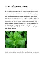 10 bài thuốc giúp trị bệnh sởi potx