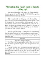 Những loài hoa và cây cảnh có hại cho phòng ngủ docx