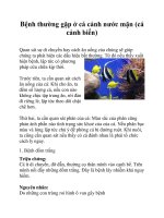 Bệnh thường gặp ở cá cảnh nước mặn (cá cảnh biển) pdf