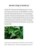 Hà thủ ô trắng và mã liên an pptx