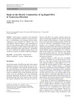 Báo cáo hóa học: 