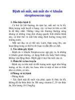 Bệnh nổ mắt, mù mắt do vi khuẩn streptococcus spp pptx