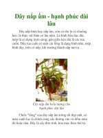 Dây nắp ấm - hạnh phúc dài lâu pdf