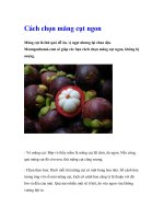 Cách chọn măng cụt ngon pdf