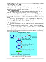 Tiểu luận kỹ thuật gen pot