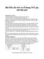 Đột biến cấu trúc và số lượng NST gây nên hậu quả doc