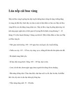 Lúa nếp cái hoa vàng ppt