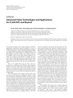 Báo cáo hóa học: 