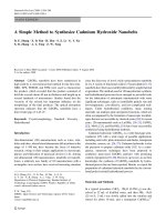 Báo cáo hóa học: 