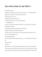 Quy trình kỹ thuật cây Ngô (Phần 3) doc