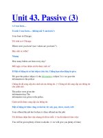 Unit 43. Passive (3) pdf