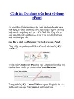 Cách tạo Database trên host sử dụng cPanel pdf