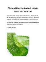 Những chất dưỡng ẩm tuyệt vời cho làn da mùa hanh khô ppt