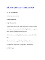 KỸ THUẬT GIEO ƯƠM SAO ĐEN potx