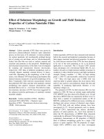 Báo cáo hóa học: 