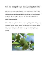 Sơn tra trong rối loạn phòng chống lipit máu potx