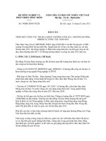 Báo cáo số 748/BC-BNN-TCCB docx