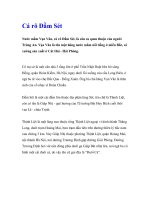 Cá rô Đầm Sét pptx