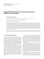 Báo cáo hóa học: 