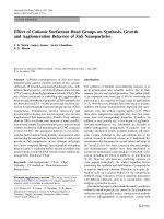 Báo cáo hóa học: 