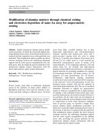 Báo cáo hóa học: 