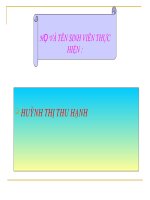 HUYNH THI THU HANH pptx