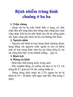 Bệnh nhiễm trùng hình chuông ở ba ba potx