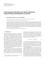 Báo cáo hóa học: 