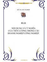 NỘI DUNG VÀ Ý NGHĨA CỦA TIỀN LƯƠNG TRONG CÁC DOANH NGHIỆP CÔNG NGHIỆP. docx