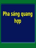 Pha sang Quang hop pot