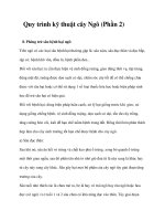 Quy trình kỹ thuật cây Ngô (Phần 2) doc