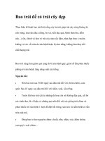 Bao trái để có trái cây đẹp ppt