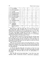 Thú rừng – Mammalia ở Việt Nam, hình thái và sinh học sinh thái một số loài part 4 doc