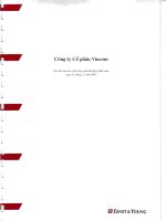 công ty cổ phần vincom các báo cáo tài chính hợp nhất đã kiểm toán ngày 31 12 2007 ERNST YOUNC