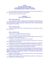 Luat Tan so vo tuyen dien 2009 (hieu luc 1-7-2010) pot