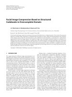 Báo cáo hóa học: 