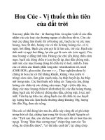 Hoa Cúc - Vị thuốc thần tiên của đất trời docx