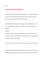 ĐỀ 1: Cảm nhận về Ai đã đặt tên cho dòng sông pptx