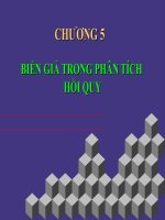 MÔN HỌC KINH TẾ LƯỢNG - CHƯƠNG 5 potx