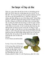 Sơ lược về họ cá lóc potx