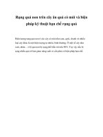 Rụng quả non trên cây ăn quả có múi và biện pháp kỹ thuật hạn chế rụng quả pot