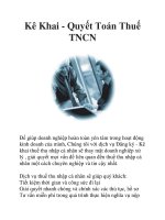 Kê Khai - Quyết Toán Thuế TNCN pptx