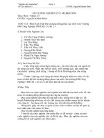 de tai nghien cuu nhom G7 pot