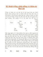 Kỹ thuật trồng, nhân giống và chăm sóc Địa docx