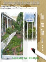 Giáo án tự nhiên và xã hội 