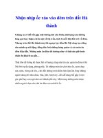 Nhộn nhịp ốc xào vào đêm trên đất Hà thành pdf