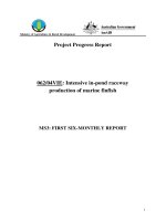 Báo cáo nghiên cứu khoa học 