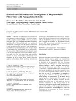 Báo cáo hóa học: 